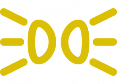 В этой статье мы увидим, как заменить лампу противотуманной фары на Ford Transit.