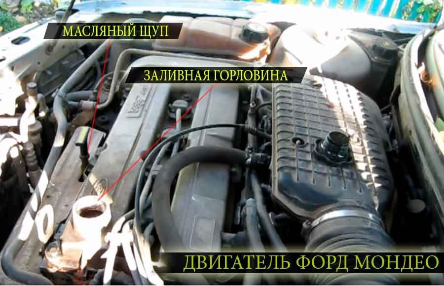 Расположение основных узлов двигателя Ford Mondeo второго поколения