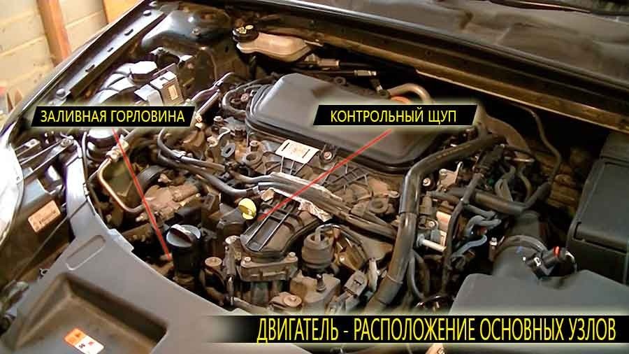 Расположение заливной горловины и масляного щупа на двигателе Ford Mondeo четвертого поколения